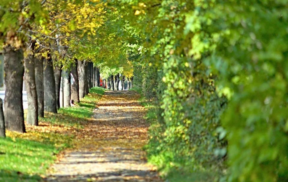 Бутиков Хотел History Haskovo Eksteriør bilde